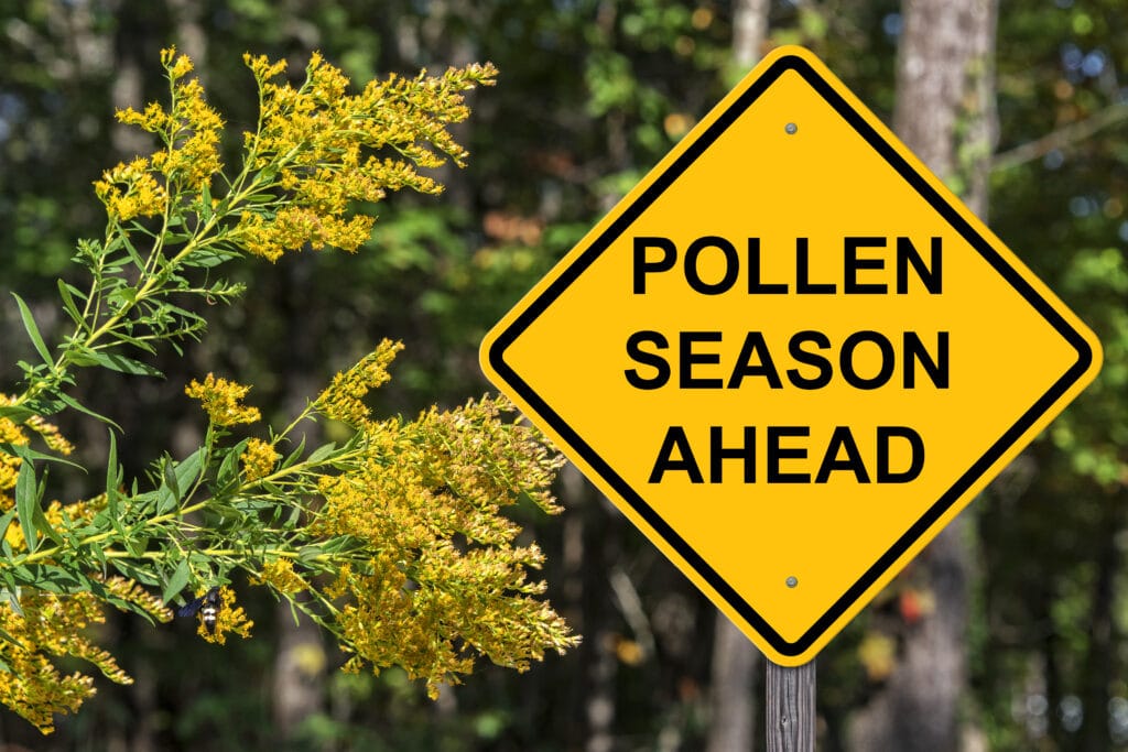 Can High Pollen Count Cause Itchy Skin