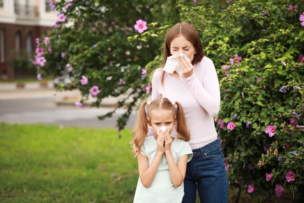 Houston Spring Pollen